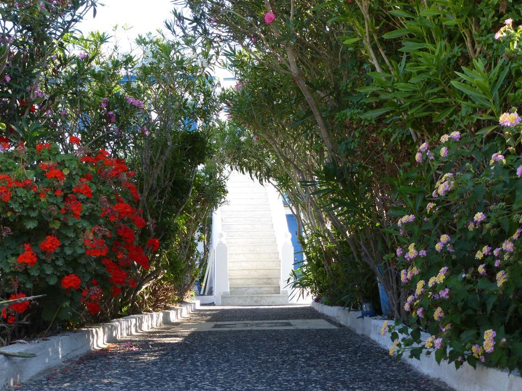 Thira'S Dolphin Aparthotel Akrotírion Екстериор снимка